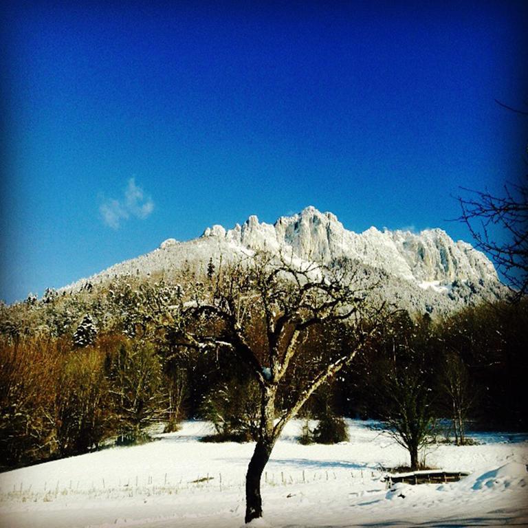 Village Vacances Les Alerions Talloires Luaran gambar